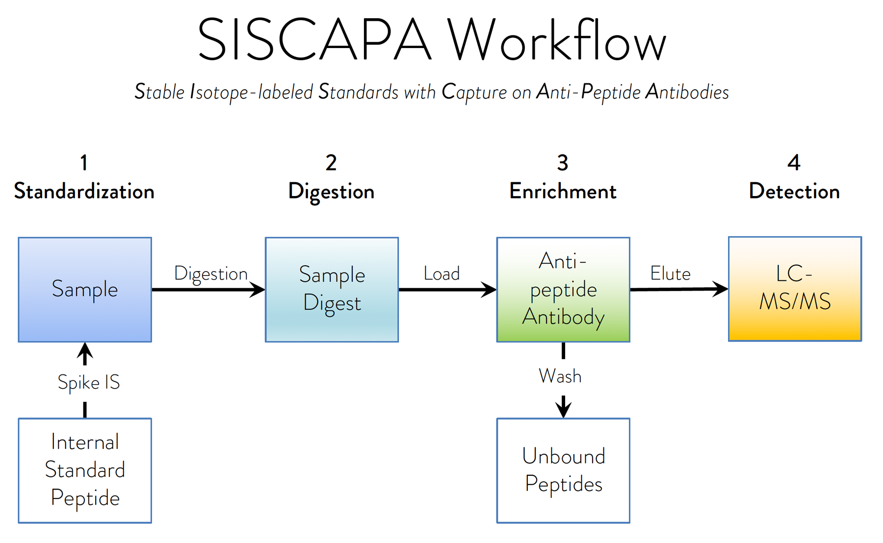 SISCAPA process diagram